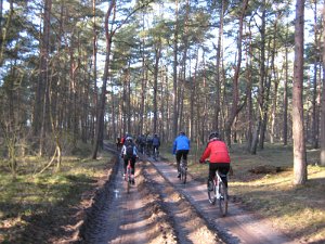 Wedel 050